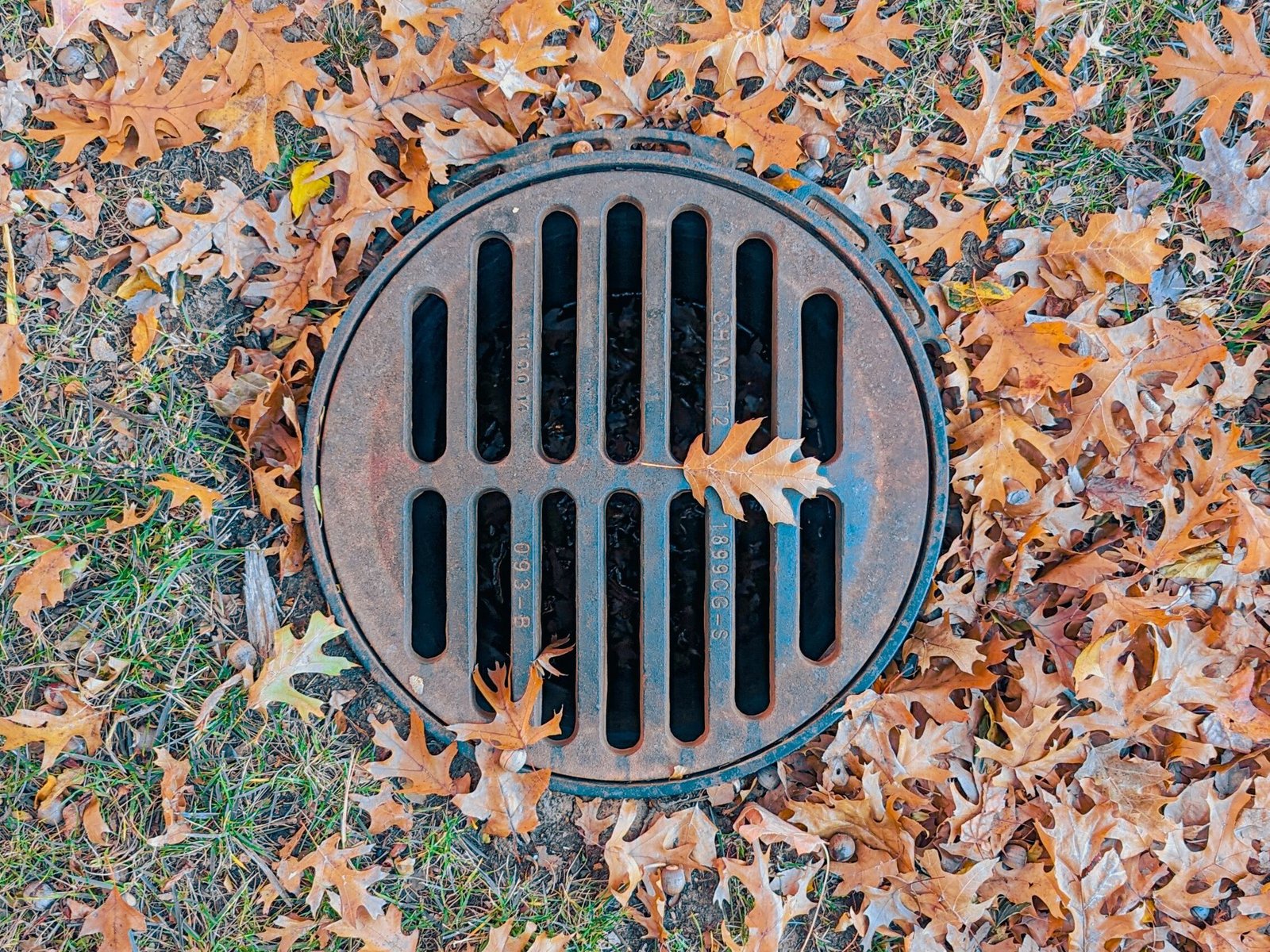 service-1 pexels aneesh 19273471