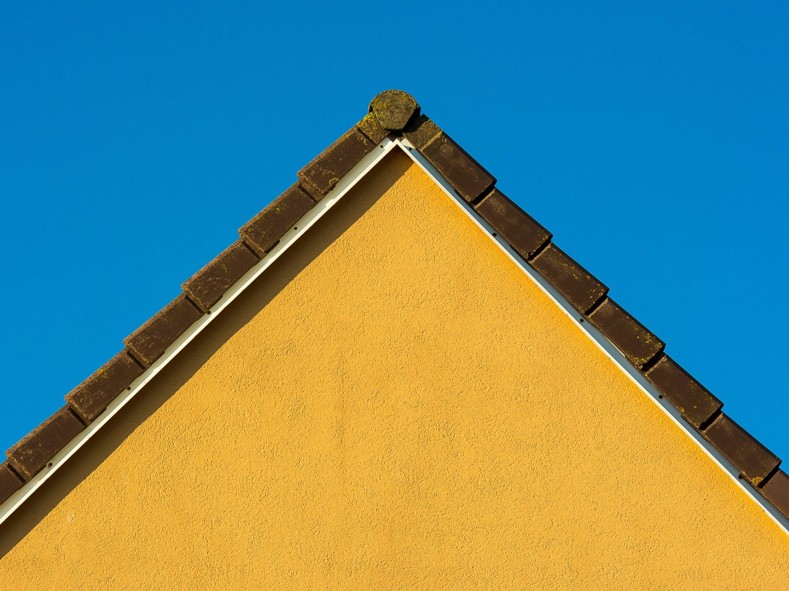 pexels jan van der wolf 11680885 19516591